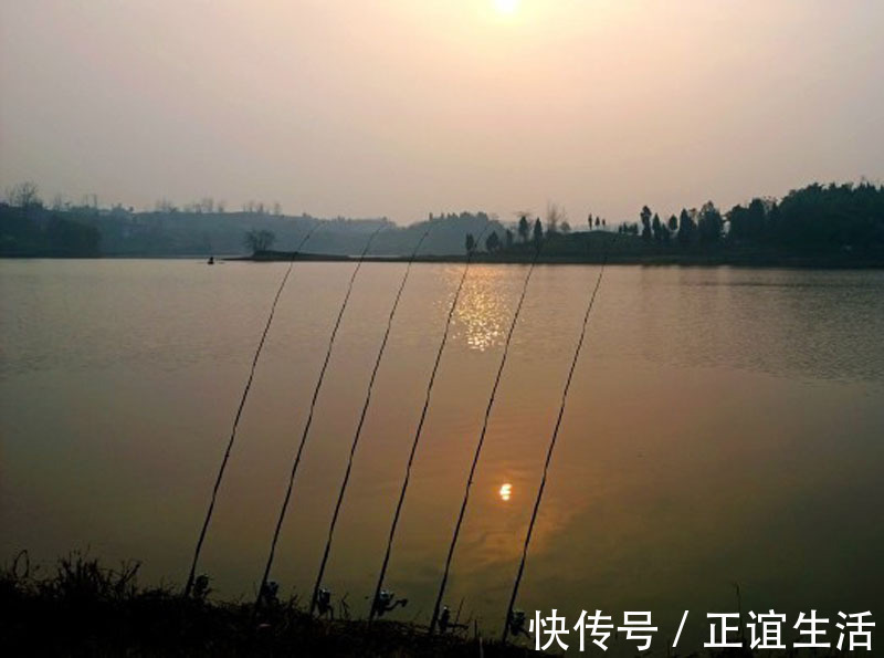 感悟|本以为钓鱼是虚度光阴,却让我感悟了不少人生