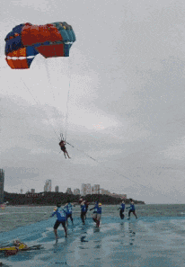 |搞笑GIF:姑娘 是时候找个男朋友了