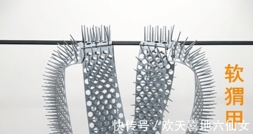 郭破虏|黄蓉为何将软猬甲送给了郭芙,而不是郭襄!