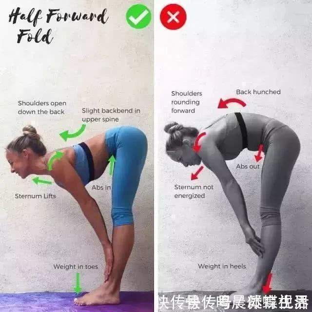 四肢|坚持这个体式30秒一星期,四肢都瘦了,小腹又紧致了