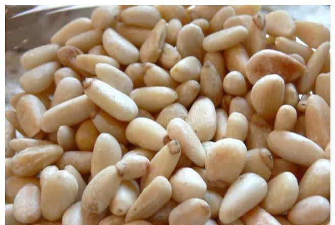 柏子仁|睡眠是最好“抗衰药”,百合加一物,甩掉失眠倒床就睡