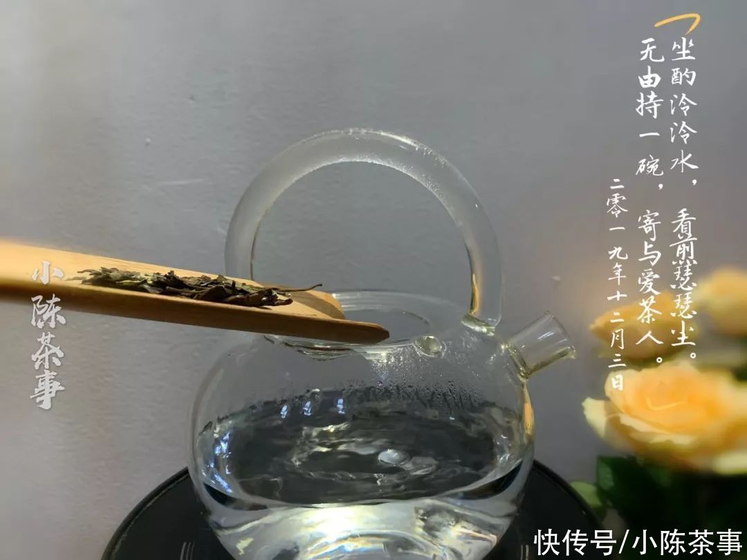 铁观音|煮茶、盲目追“老白茶”、紫砂壶冲泡，说说白茶新手的入门三板斧