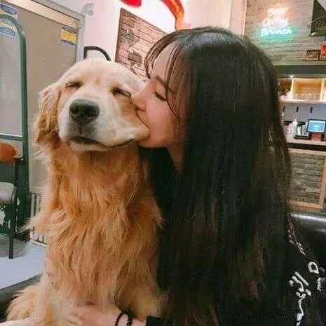 |搞笑图片幽默段子笑话哈哈,好幸福的狗狗,有这么可爱的主人