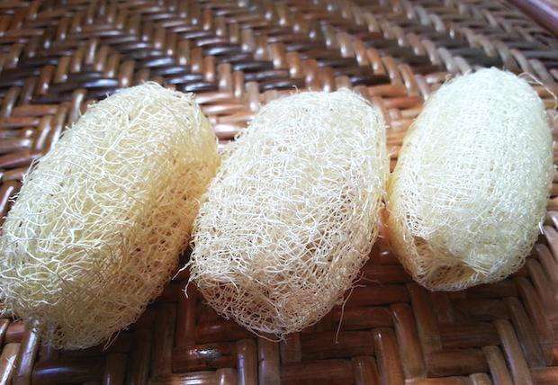 丝瓜络|女性到了更年期，可以经常用它泡水喝，缓解脾气，预防乳腺增生