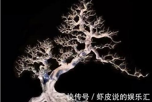 教您如何在市场选择盆景素材，你了解过嘛