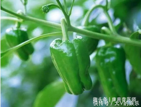  养生又保健的食物，男女要常吃，促进排便，改善体质，谁吃谁好