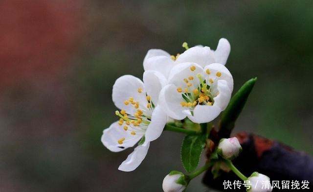 得罪|简简单单两句话,让你少得罪多少人!(深度好文)