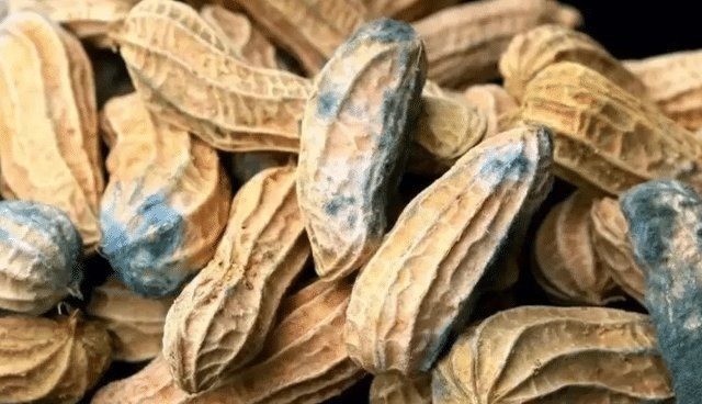 鸡蛋|骨质疏松不可以吃鸡蛋?骨科大夫:要想骨头好,这3种食物要少吃