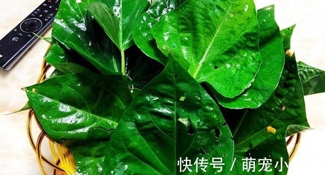 秋天最应该吃的一个菜,蒸一蒸就好,营养又解馋,全家都喜欢