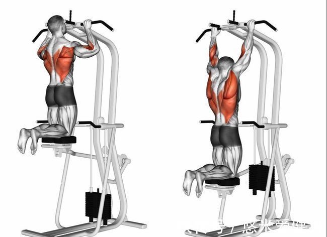 握距|引体向上的4个发力技巧,坚持每天训练,快速提升动作数量