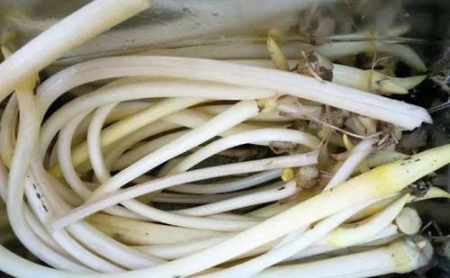 肝细胞|吃了不显老的食物，推荐常吃，清热去火，减脂养颜，预防早衰