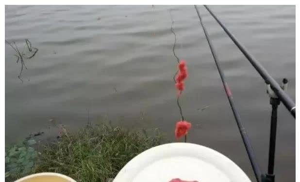 从此告别双钩钓鱼?史上最严“禁渔令”即将来临,钓鱼何去何从?