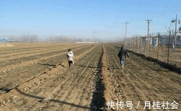 健康食品|农村房子土？那是没见过我改造的农家别院，土豪出300万我都不卖