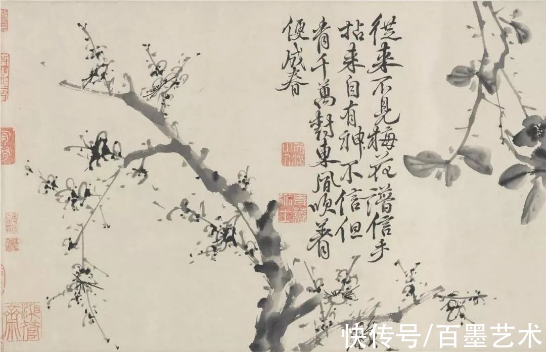 明朝@青藤白阳：明朝花鸟两大高峰