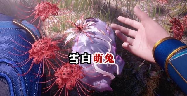 相思断肠红|小舞献祭成萌兔,有谁注意到唐三的瞳孔?它成功挽救了小舞的躯壳