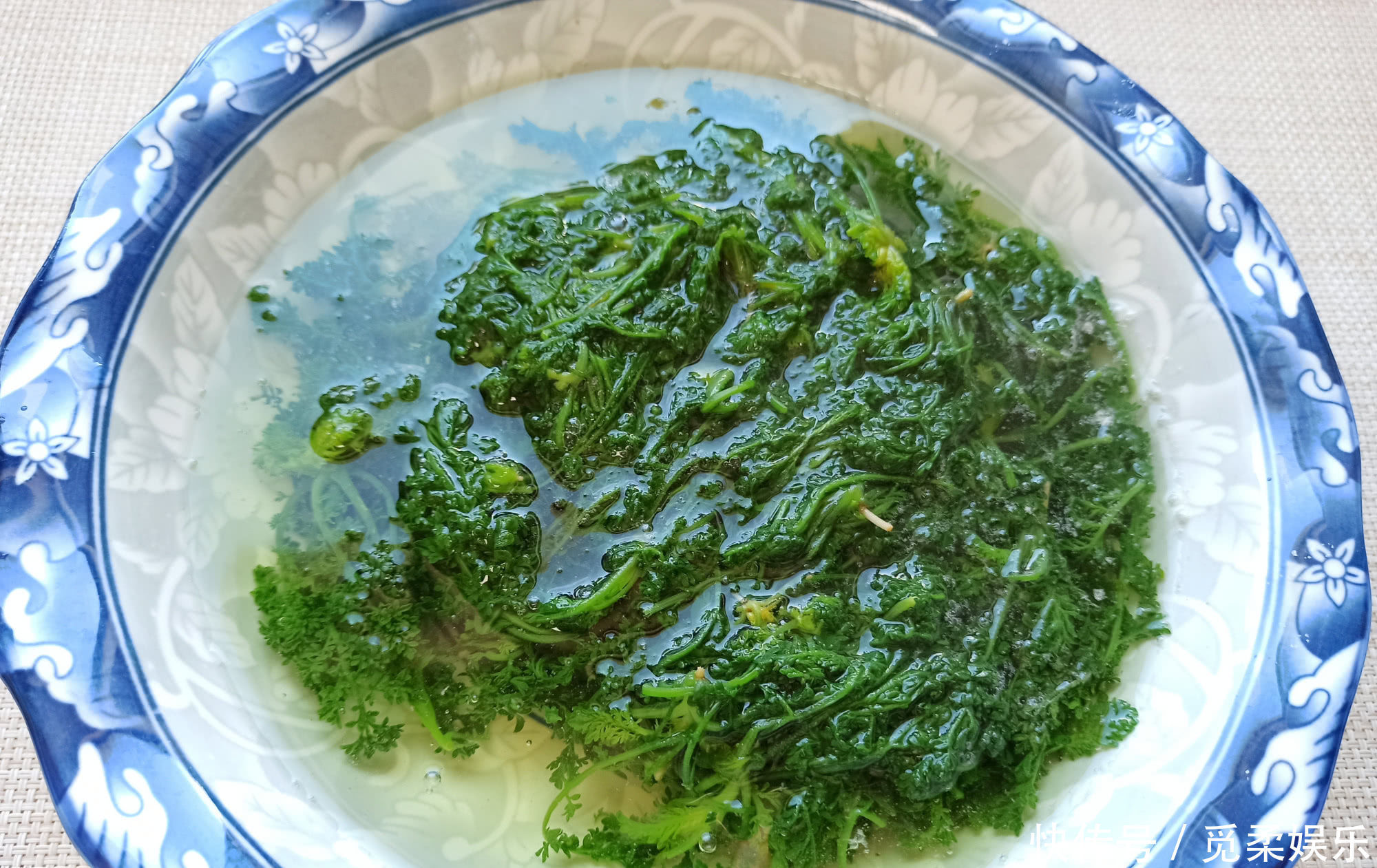 春天的野菜我只认它,做成饺子馅真香,鲜嫩多汁,城里人很少吃过