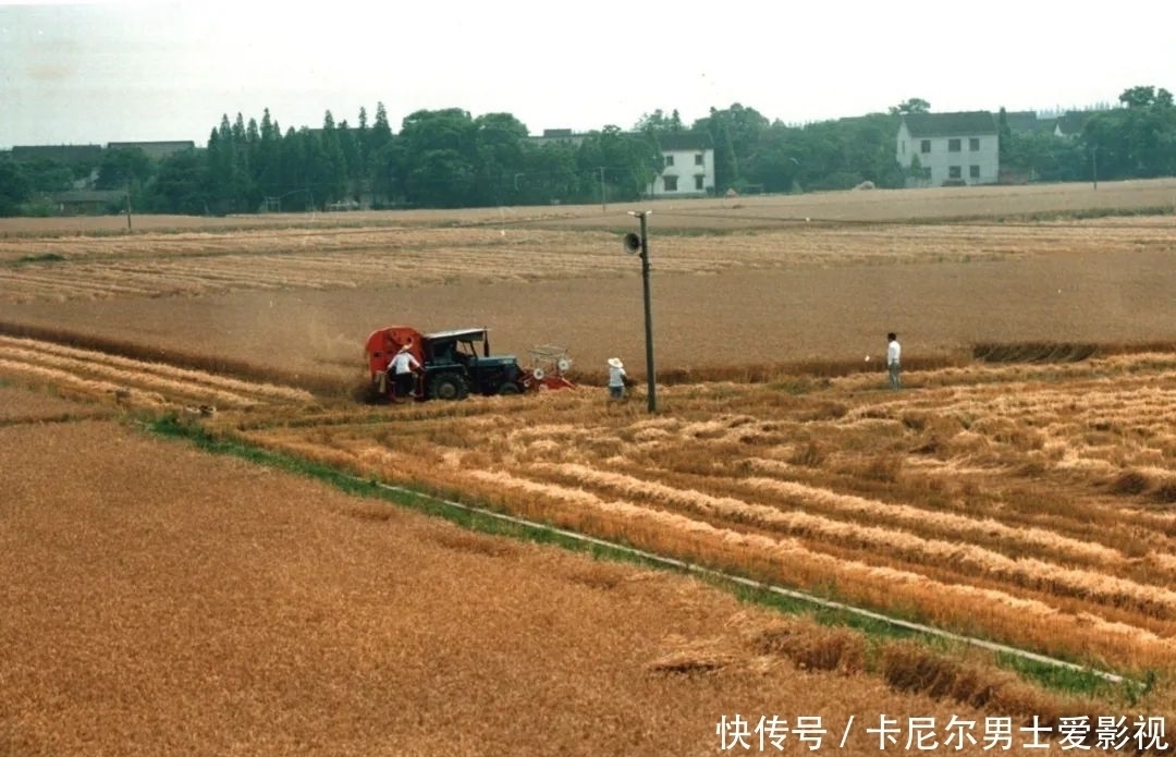 模样|老照片“开口”讲故事这些安亭旧日的模样你见过多少