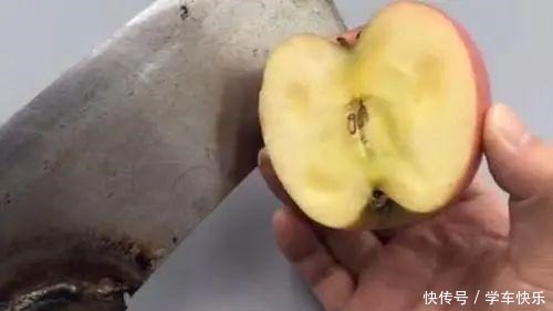 西红柿烂了别丢,越烂就越好,以前丢掉都浪费了!