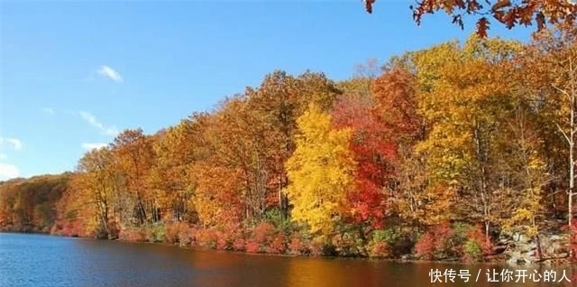 动人|绝美秋词:含蓄动人,意蕴无穷的相思枫叶丹