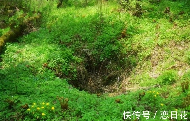 摄制组&小山村频发异象,为何野猪常年只攻击此地?奇特坑洞又从何而来?