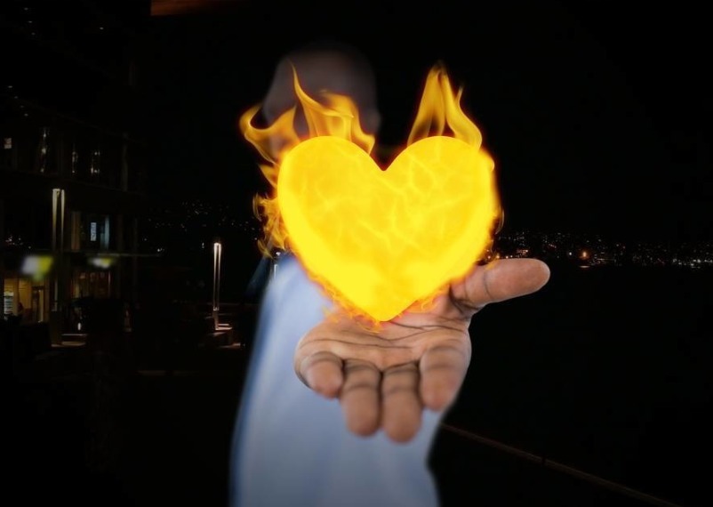 栀子|心火、胃火、肝火、肺火、肾火,一个4味药方,五脏之火通通扑掉