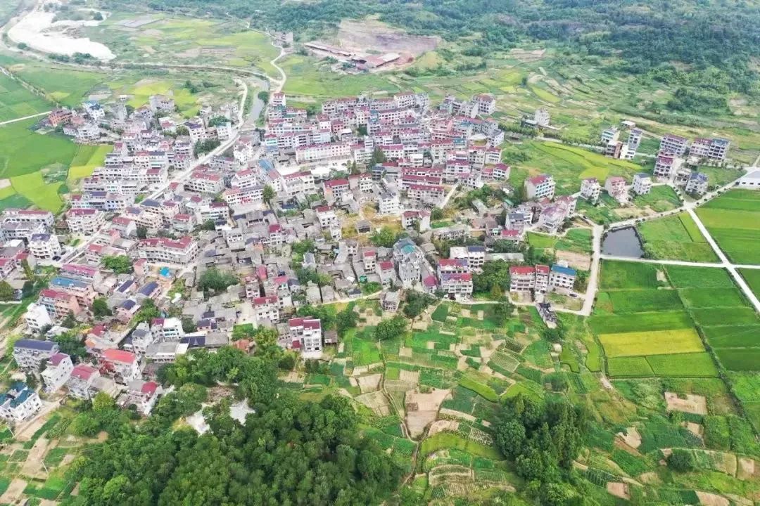 鲤鱼化龙|奇! 天台东乡的马头岩上有神仙!