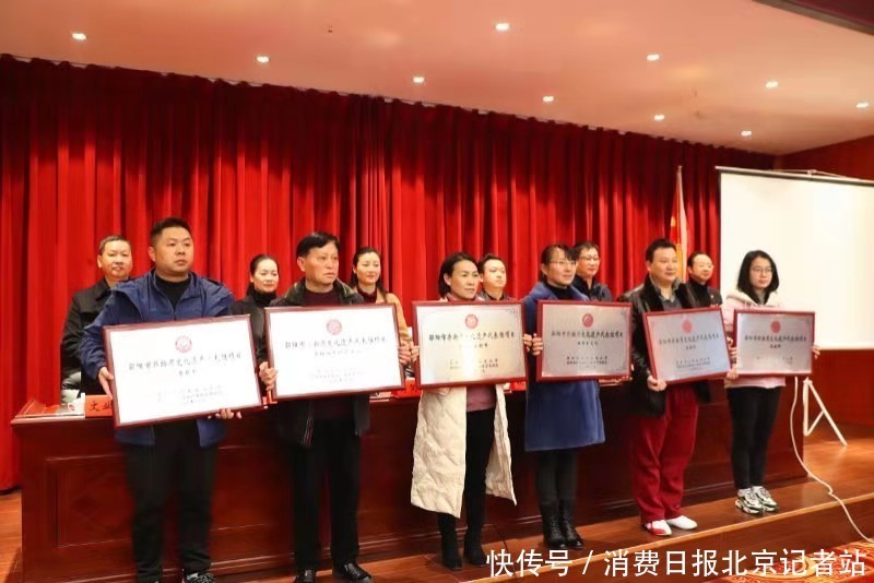 青钱柳茶|非遗青钱柳 打开脱贫“锁”