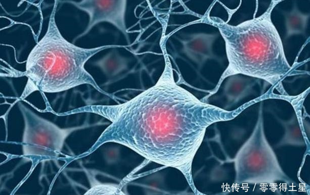 甲醛|菜农提醒甲醛喜欢藏在3种菜里,洗也洗不干净,告知父母别吃了