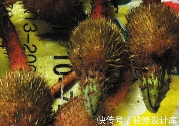 肾虚|90%中国人不知道的美食！女人吃了冻龄，男人吃了补肾