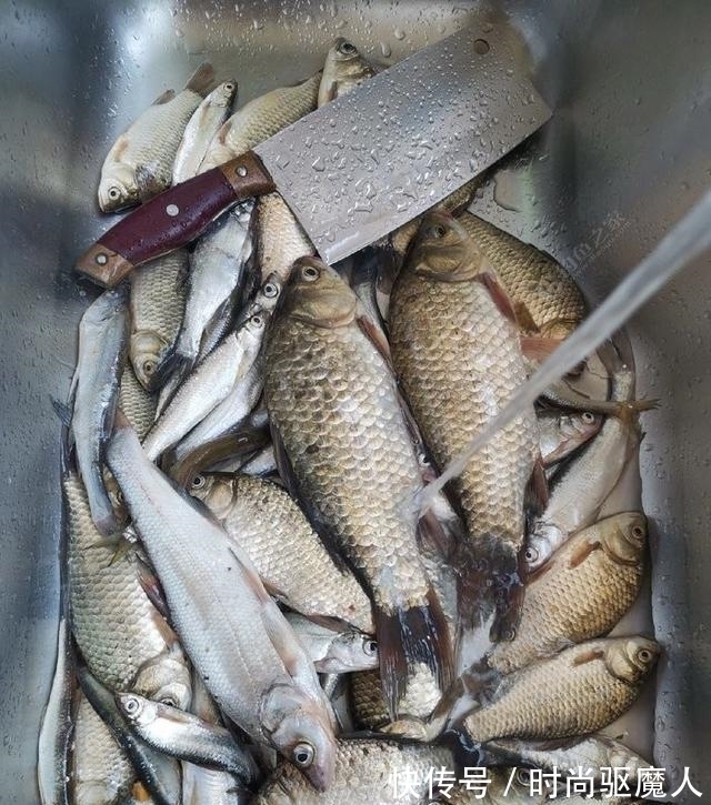 香酥鱼|香酥鲫鱼,一道解决鲫鱼如何烹制的菜品