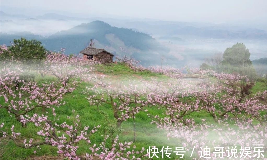 桃花源#《向往5》录制地点现状:蘑菇屋一片狼藉,图书馆沦为杂物间