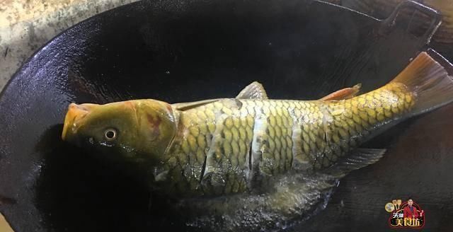 鲤鱼|红烧鲤鱼简单的家庭做法,学会这一招,鱼肉鲜香嫩滑无腥味