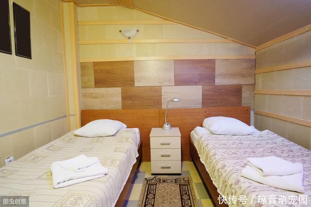 马桶|建议大家:出门不论远近,这4样带上别离身,关键时刻作用大