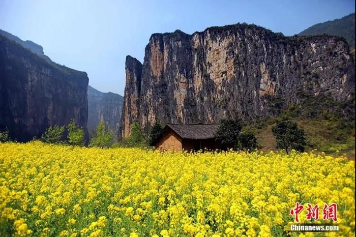 奉节脐橙|人这一辈子，一定要去一趟奉节