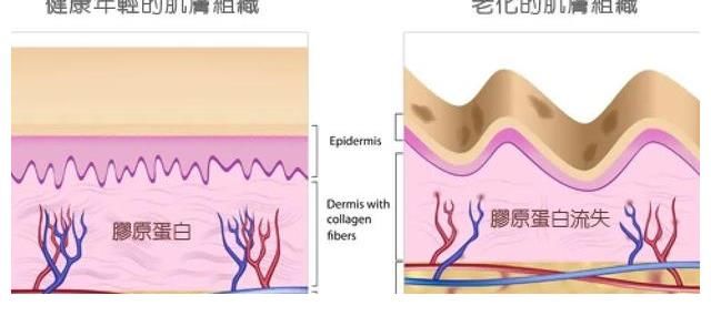 复仇|她是现实版大女主逆袭+王者复仇？