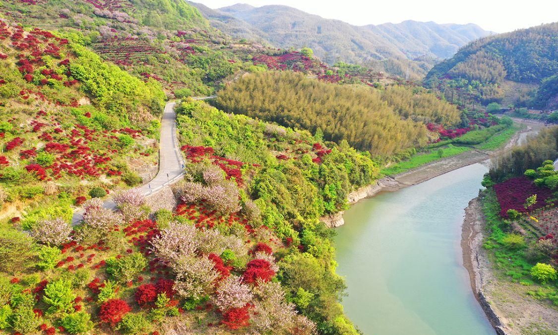 宁波红枫欣赏地，大俞、北溪、唐田，红枫绚烂