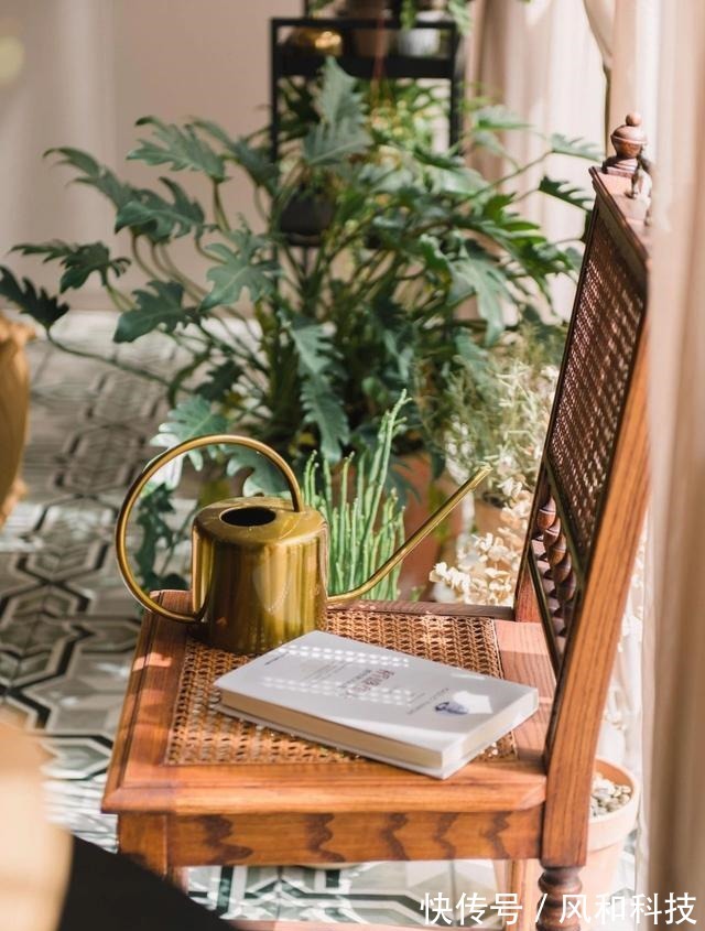 挂画|90后小姑娘的独居公寓,阳台打造成森林,一个人住也舒服