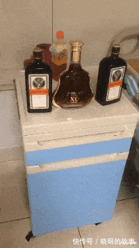 好好学习|“在拼夕夕上买了驱蚊手环,这蚊子是怎么回事?