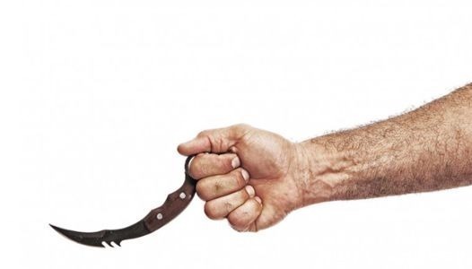 弯刀|电影《战狼》里造型别致的小弯刀,竟是源自东南亚收水果的镰刀