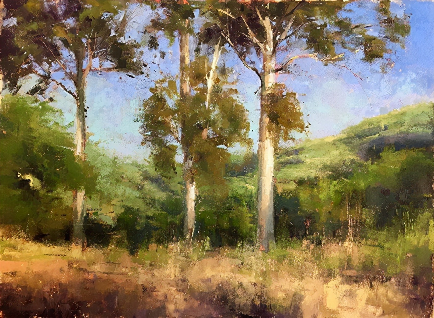 阿奎尔$美国艺术家阿奎尔柔和的风景油画,画里充满了阳光温馨美好(二)