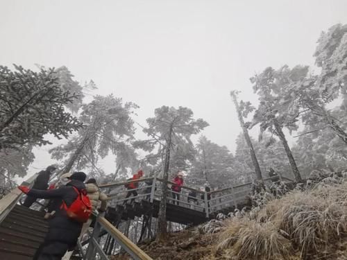 轿子|说走就走！快去轿子雪山与神奇的雾凇同框！