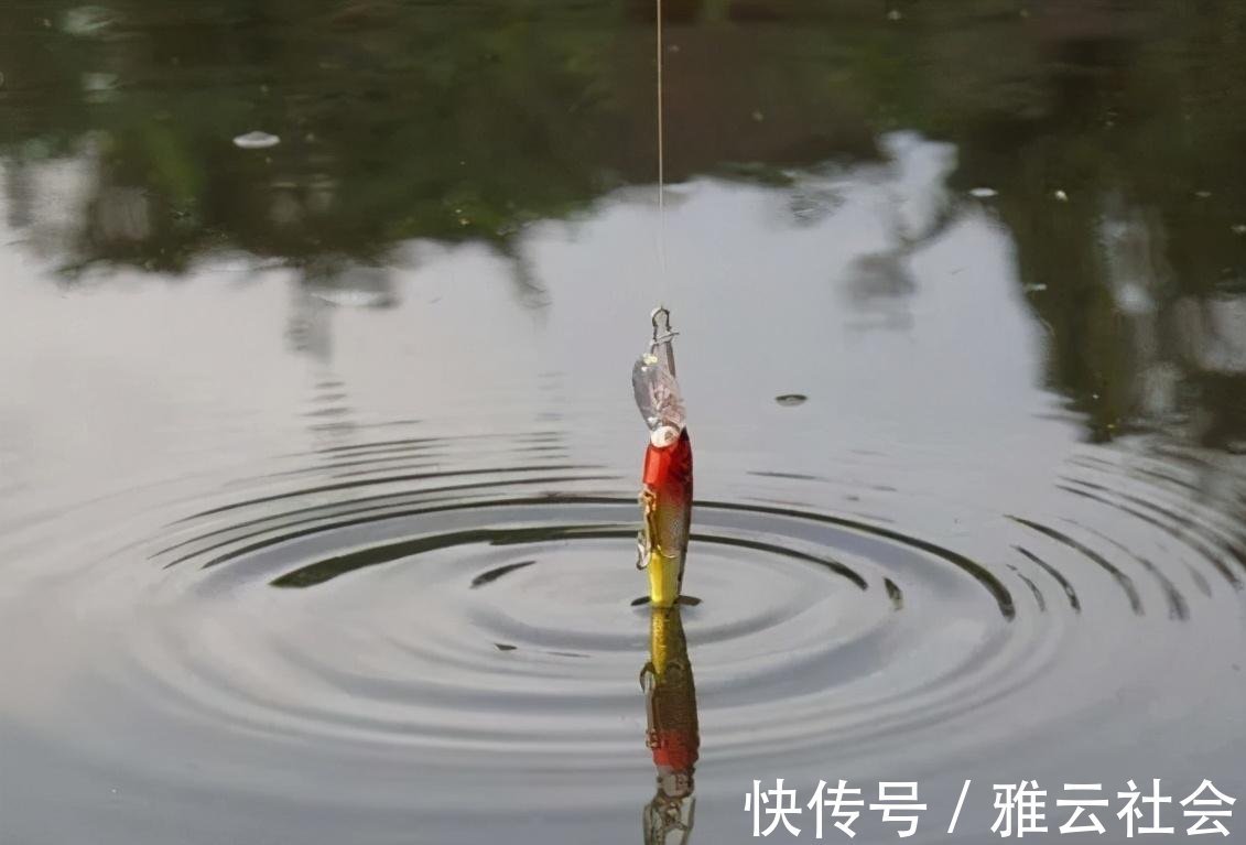 多种鱼|野河钓鱼不知道怎么调漂,这种方法一学就会,适合钓多种鱼