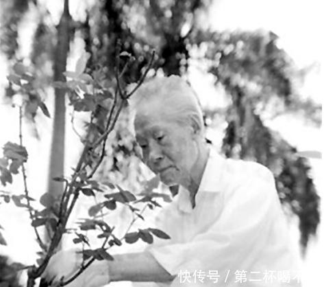 探望|蒋经国去探望孙立人，88岁老将提了3个要求，结果却只满足了1个！