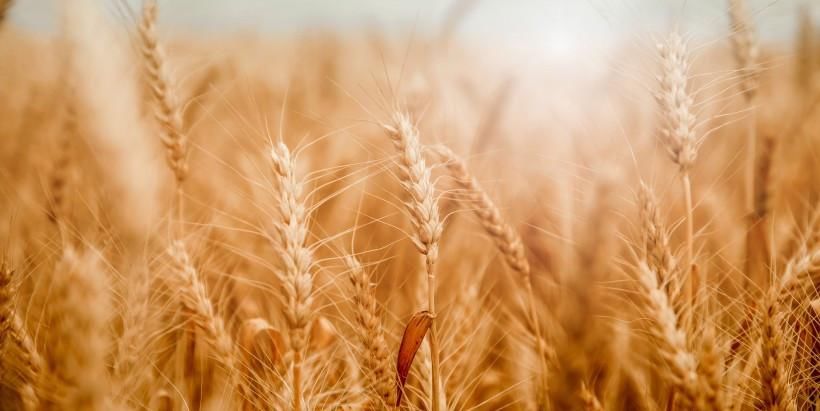 到来|预计10月底，缘分与桃花通通到来，尝有望摆脱单身的四个生肖