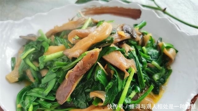 春季佳蔬,韭为先,分享12道韭菜的做法,鲜香味美,好吃下饭