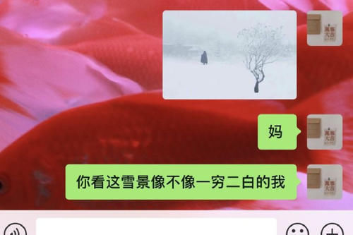 儿行千里|聊天记录暴露了大学生“花样要生活费”的方式，父母：我家是同款