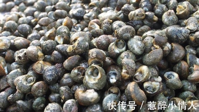 女子在水田里捡了一篮“田螺”,回家准备爆炒,邻居:快扔掉