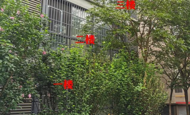 朝向|为什么说有些买房者聪明房型优先考虑这几点,难怪买的都是好房