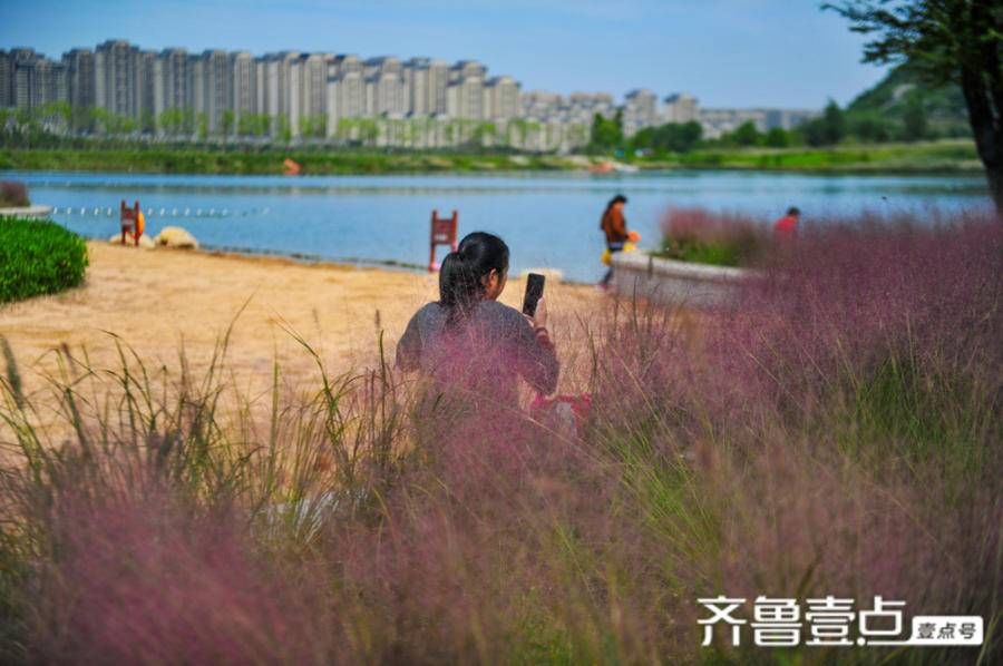 粉黛浪漫，去华山追一场绝美秋色