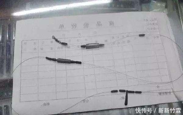 子线|双铅钓为啥比跑铅钓更灵敏双铅钓该怎样调漂建议新手收藏